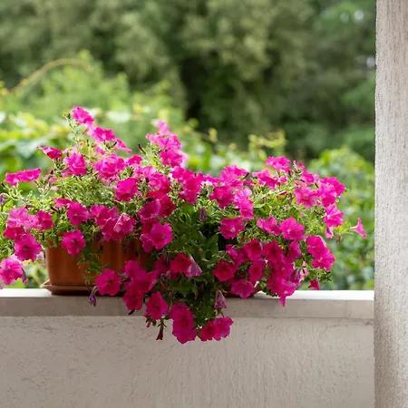 Modern Sabina With Garden شقة *