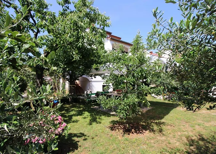 Modern Sabina With Garden Lejlighed