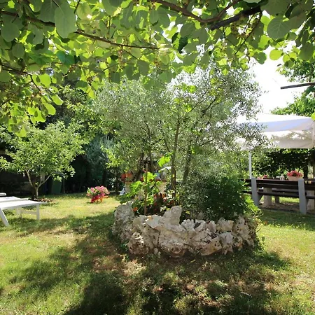 Modern Sabina With Garden